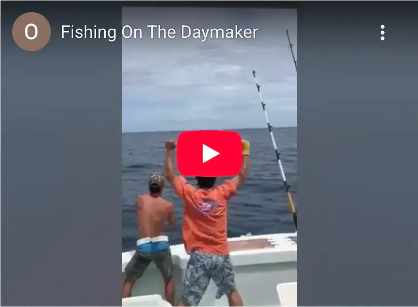 Daymaker fishing video